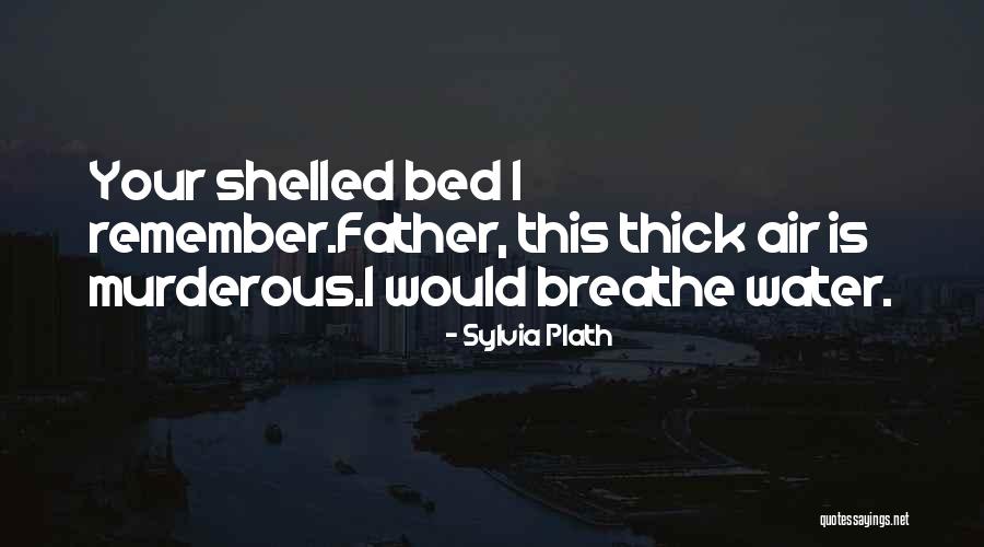 Linda Tarde Quotes By Sylvia Plath Linda Tarde Quotes By Sylvia Plath