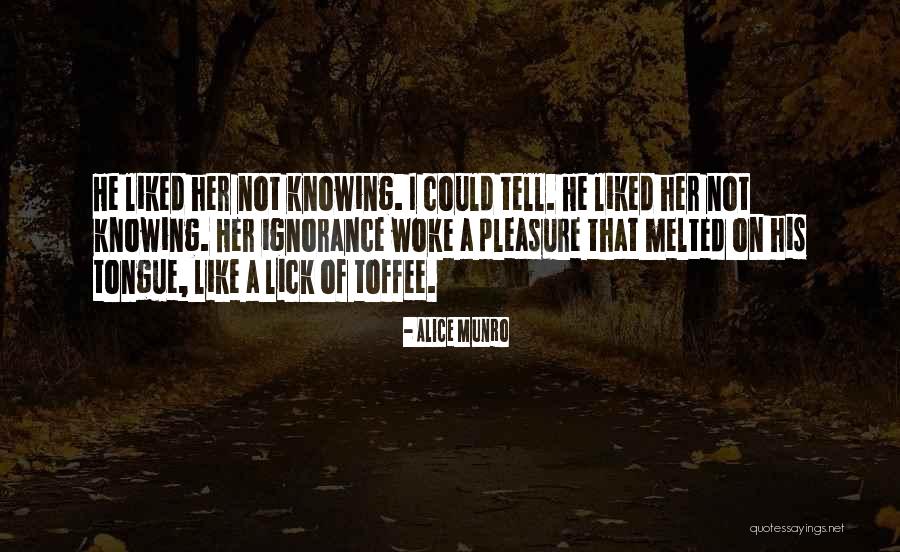 Lindani Tented Quotes By Alice Munro Lindani Tented Quotes By Alice Munro
