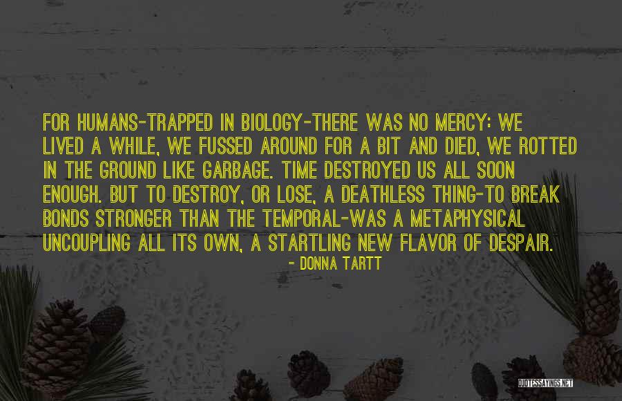 Lindar Packaging Quotes By Donna Tartt Lindar Packaging Quotes By Donna Tartt