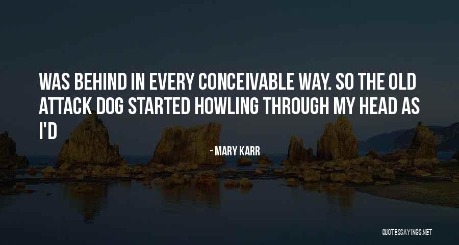 Lindbloom Color Quotes By Mary Karr Lindbloom Color Quotes By Mary Karr