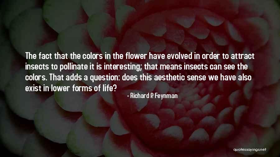Lindholm Properties Quotes By Richard P. Feynman Lindholm Properties Quotes By Richard P. Feynman