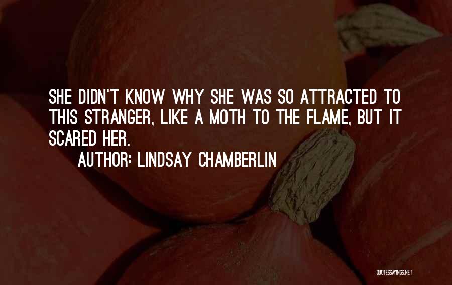 Lindsay Chamberlin Quotes 1097008