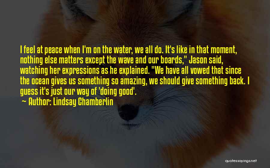 Lindsay Chamberlin Quotes 956483