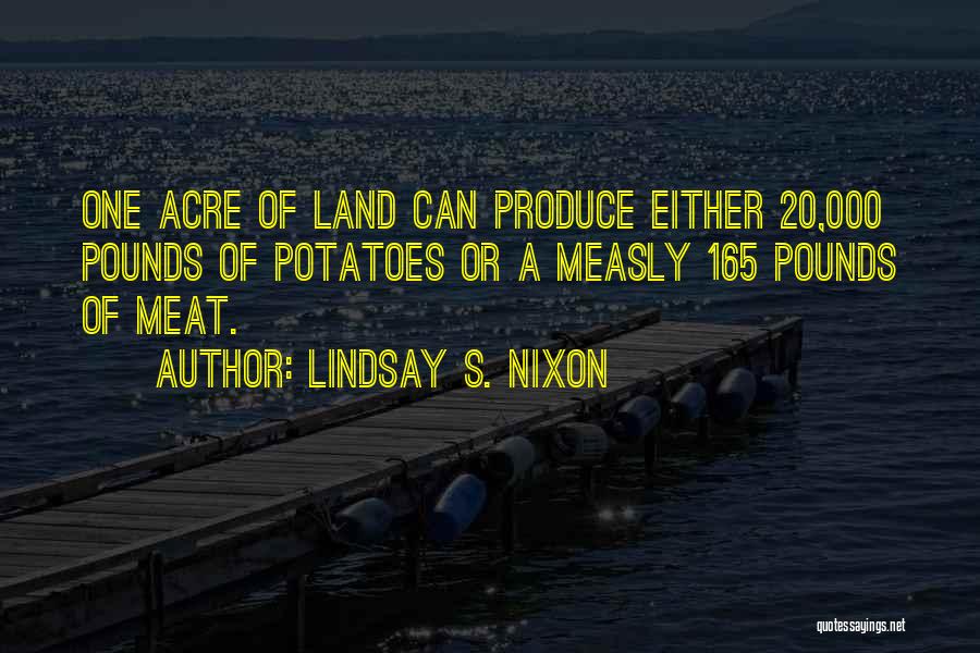 Lindsay S. Nixon Quotes 1027984