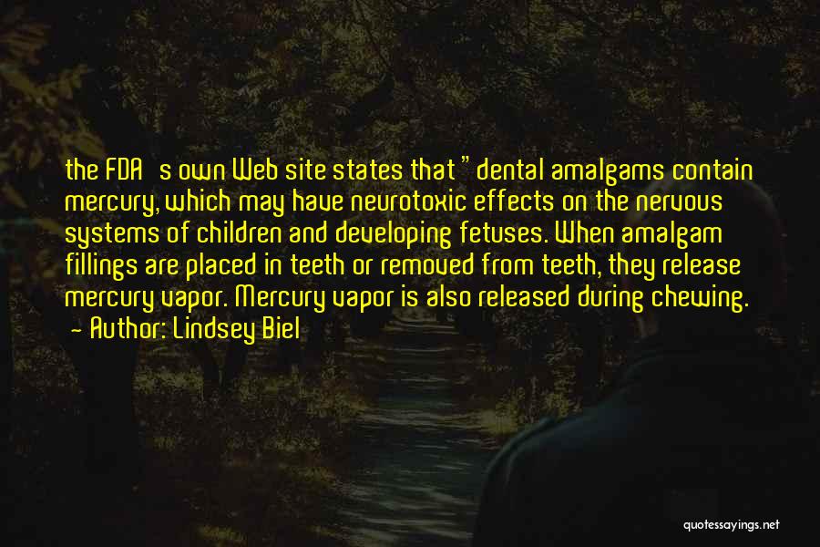 Lindsey Biel Quotes 332127