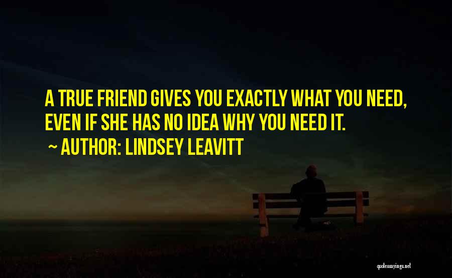 Lindsey Leavitt Quotes 388329