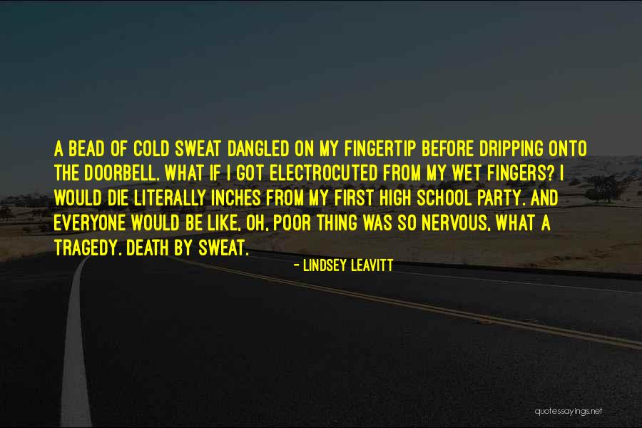 Lindsey Leavitt Quotes 940479