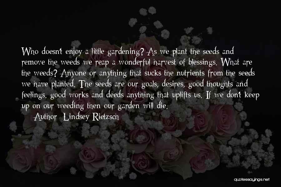 Lindsey Rietzsch Quotes 1466710