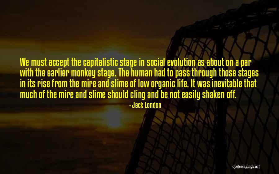 Lindungihakpilihmu Quotes By Jack London Lindungihakpilihmu Quotes By Jack London