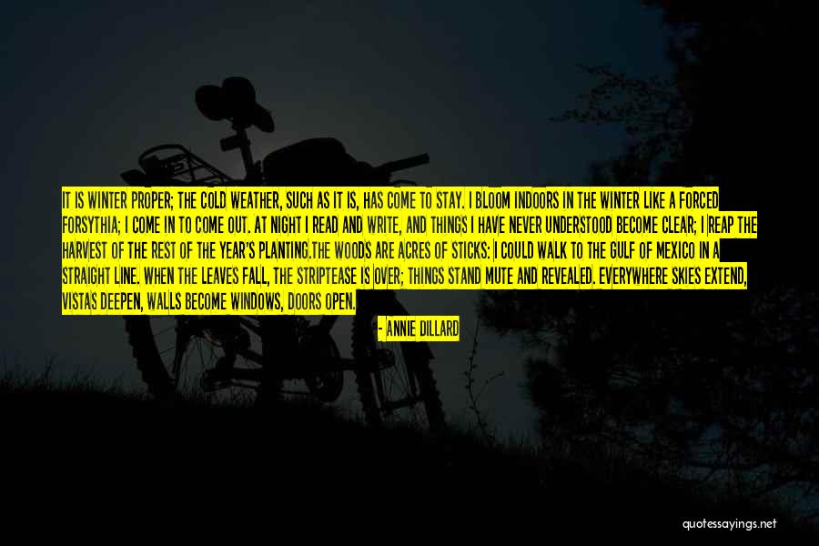 Line Of Beauty Quotes By Annie Dillard Line Of Beauty Quotes By Annie Dillard