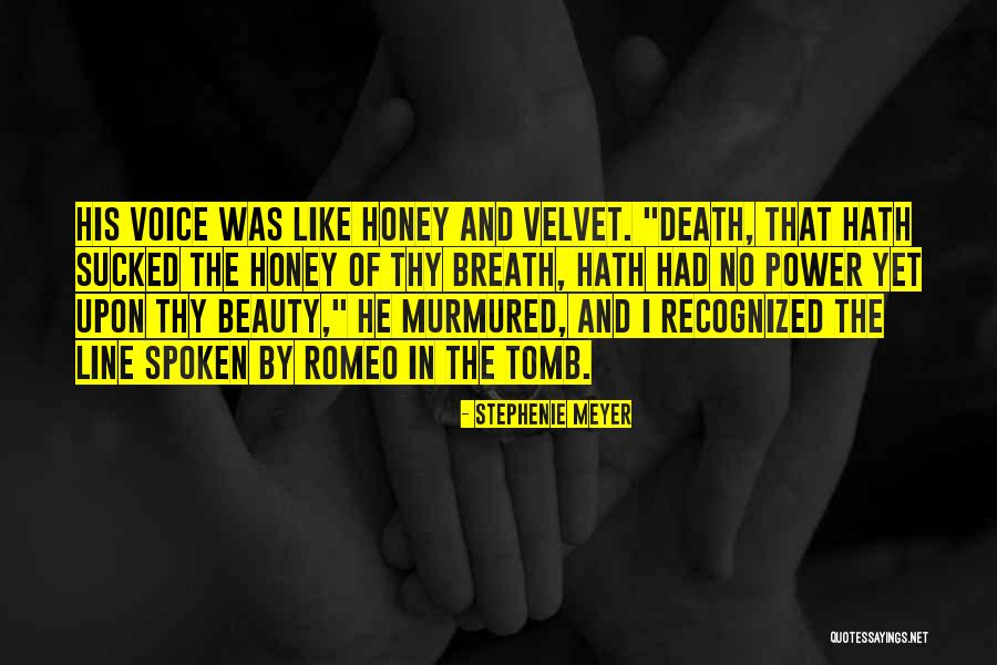 Line Of Beauty Quotes By Stephenie Meyer Line Of Beauty Quotes By Stephenie Meyer