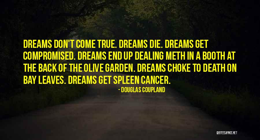 Lineated Barbet Quotes By Douglas Coupland Lineated Barbet Quotes By Douglas Coupland