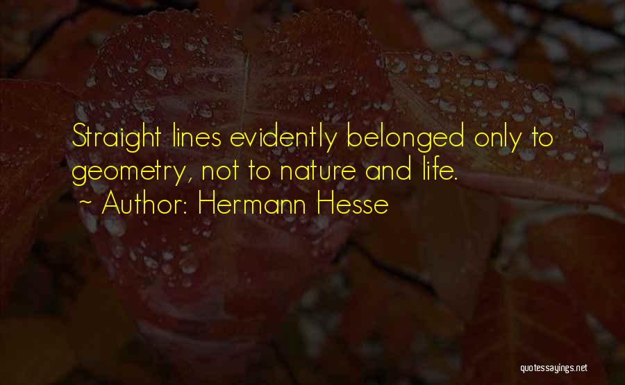 Lines In Geometry Quotes By Hermann Hesse