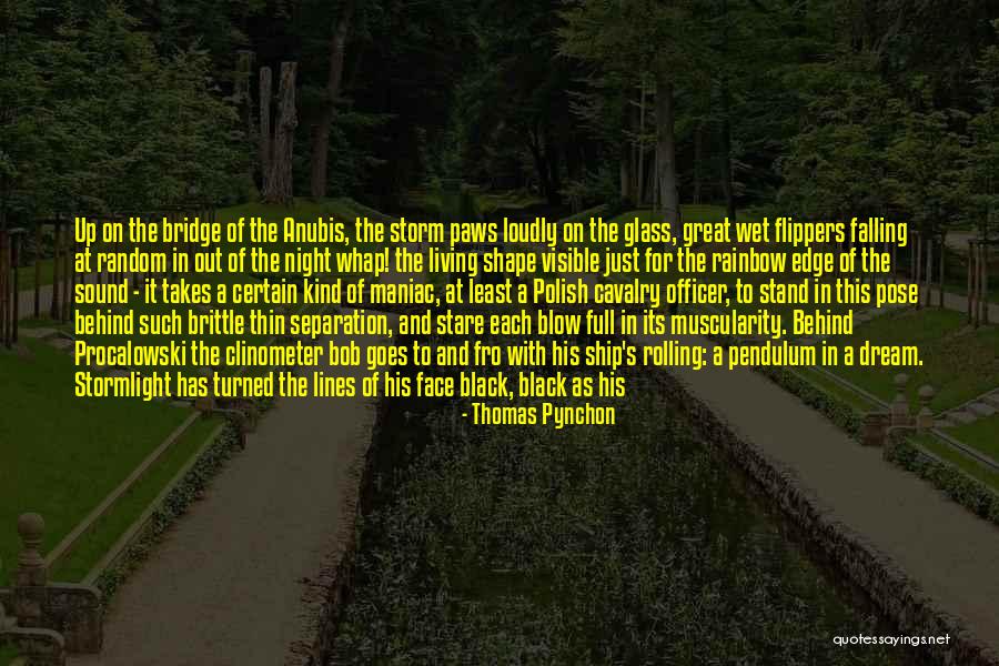 Lines On Forehead Quotes By Thomas Pynchon