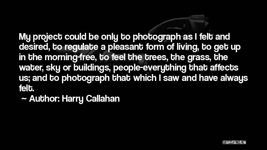 Linfinito Parafrasi Quotes By Harry Callahan