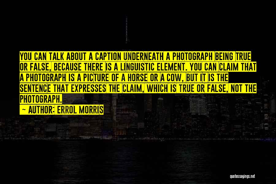 Linguistic Quotes By Errol Morris