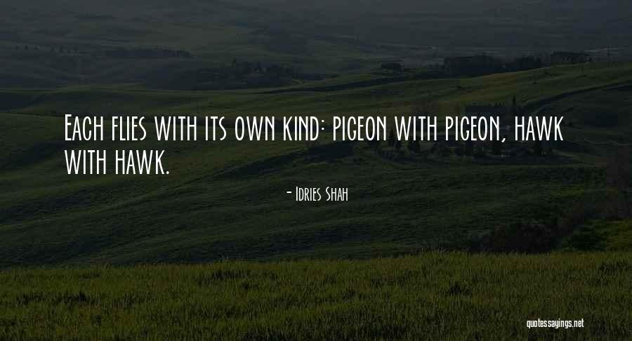 Linhartova Jinocany Quotes By Idries Shah Linhartova Jinocany Quotes By Idries Shah
