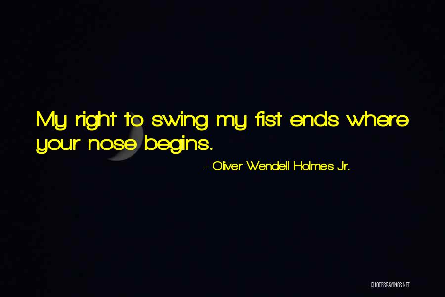 Liniment For Horses Quotes By Oliver Wendell Holmes Jr.