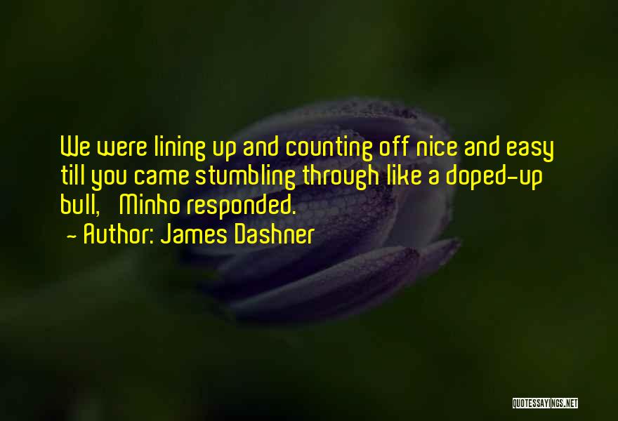 Lining Up Quotes By James Dashner