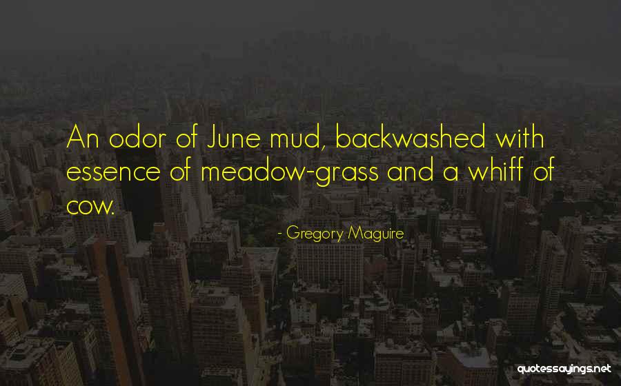 Liniste Lucian Quotes By Gregory Maguire Liniste Lucian Quotes By Gregory Maguire