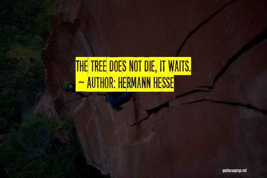 Linjinmei Quotes By Hermann Hesse