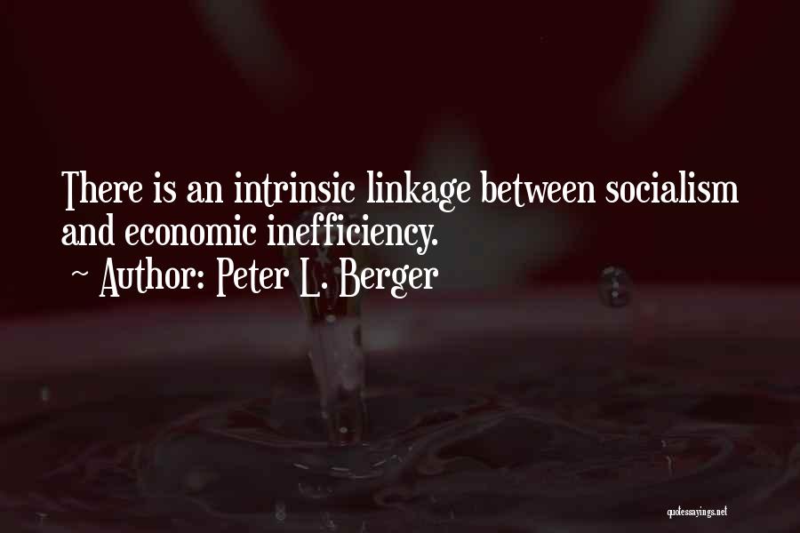 Linkages Quotes By Peter L. Berger