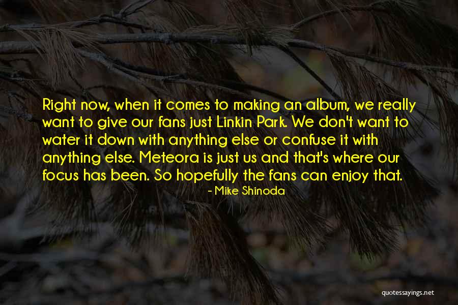 Linkin Park Meteora Quotes By Mike Shinoda