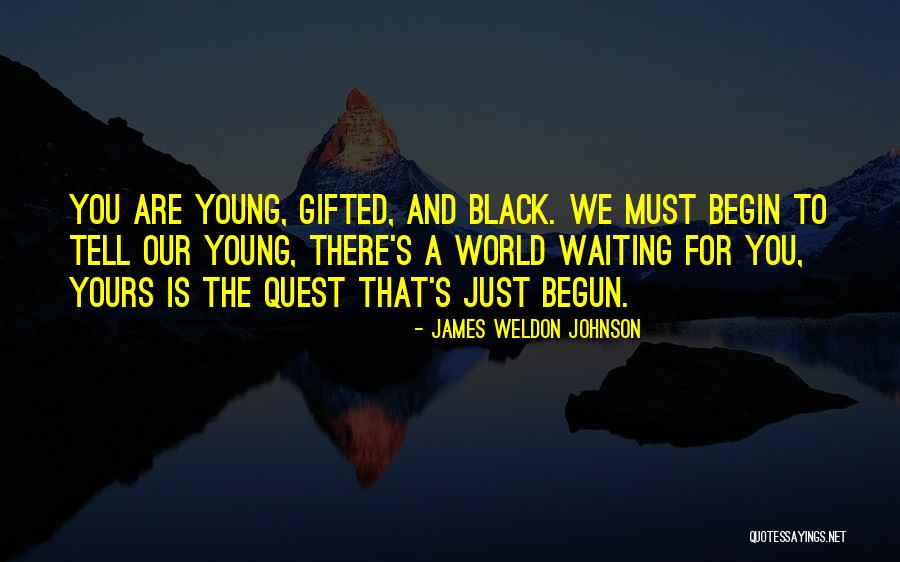 Linkovich Quotes By James Weldon Johnson Linkovich Quotes By James Weldon Johnson