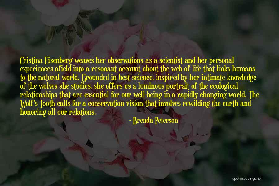 Links Quotes By Brenda Peterson