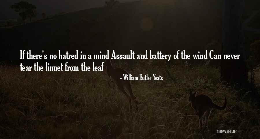Linnet Quotes By William Butler Yeats Linnet Quotes By William Butler Yeats