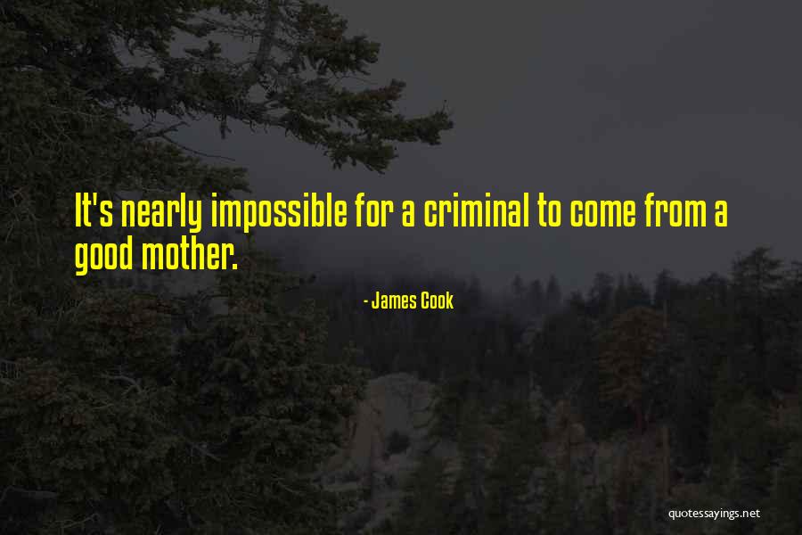 Linnused Quotes By James Cook Linnused Quotes By James Cook