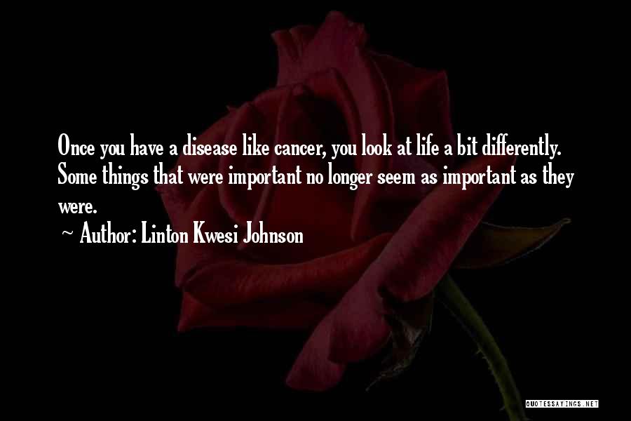 Linton Kwesi Johnson Quotes 2132661