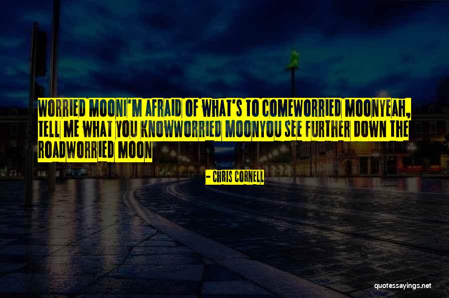 Lintujen Talviruokinta Quotes By Chris Cornell Lintujen Talviruokinta Quotes By Chris Cornell