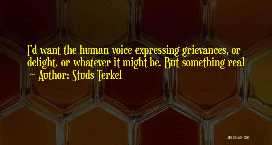 Linty Sweater Quotes By Studs Terkel