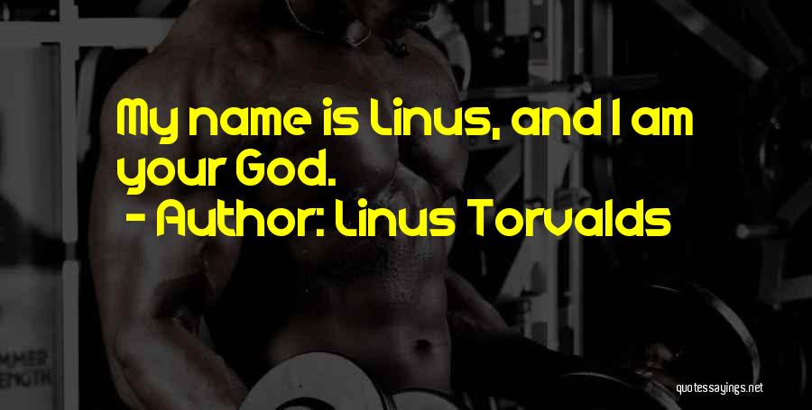 Linus Torvalds Quotes 1795346