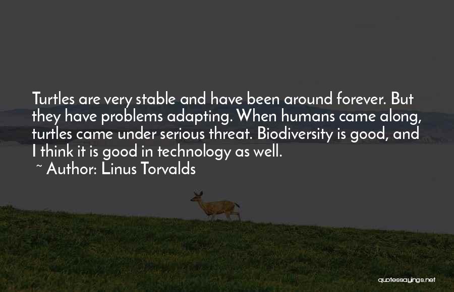Linus Torvalds Quotes 2014705