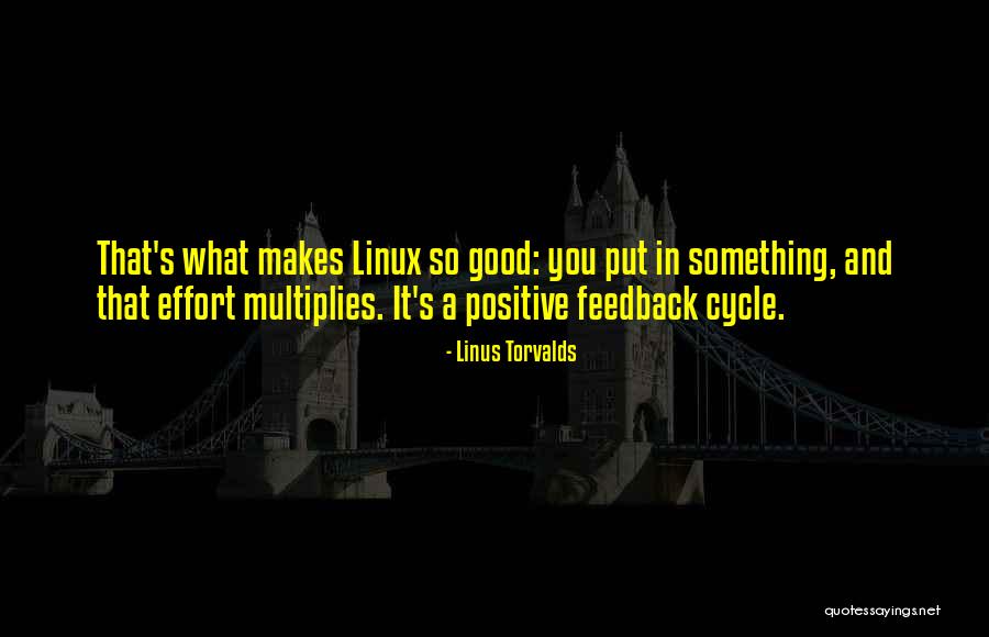 Linus Torvalds Quotes 518040