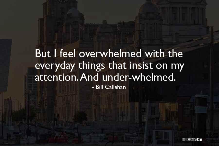 Linutile Beaut Quotes By Bill Callahan Linutile Beaut Quotes By Bill Callahan