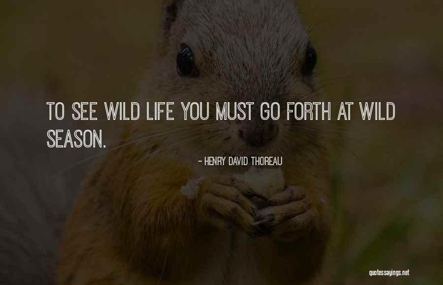 Linux Find Command Quotes By Henry David Thoreau Linux Find Command Quotes By Henry David Thoreau