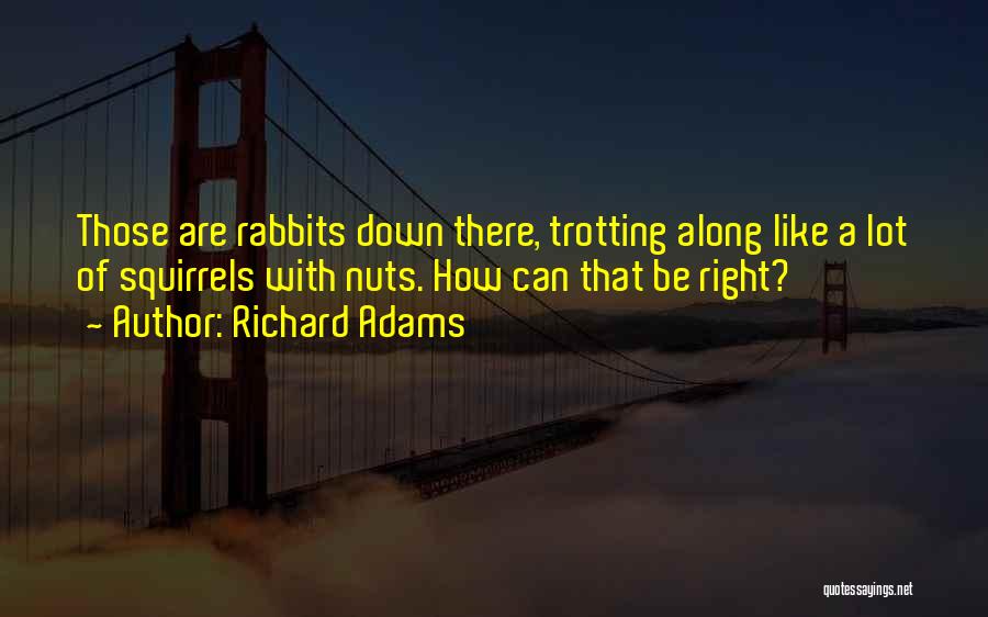 Linux Path Double Quotes By Richard Adams