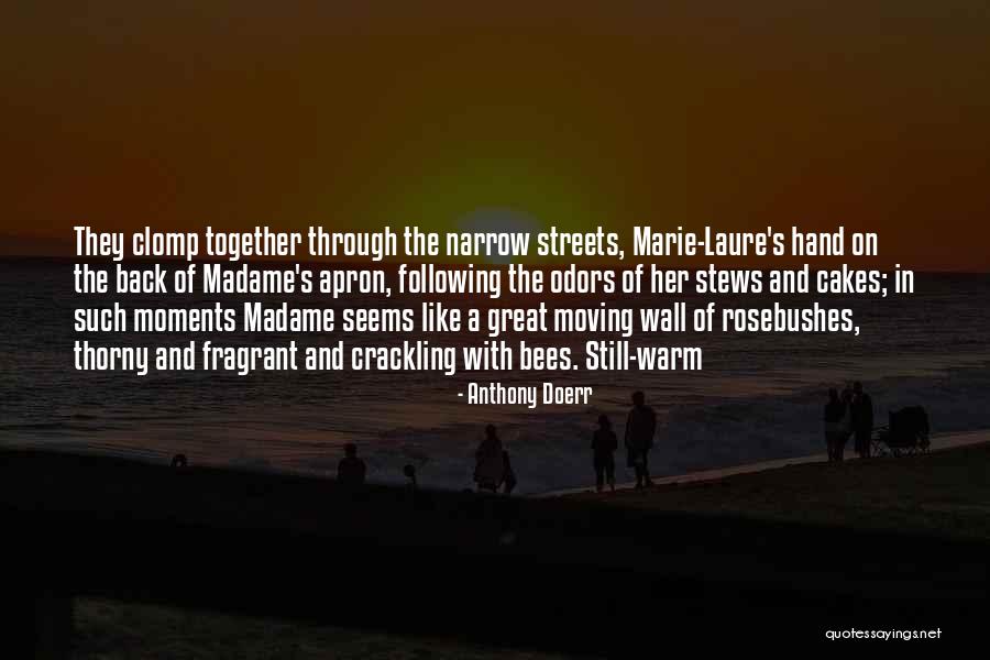 Linvestiture Quotes By Anthony Doerr Linvestiture Quotes By Anthony Doerr