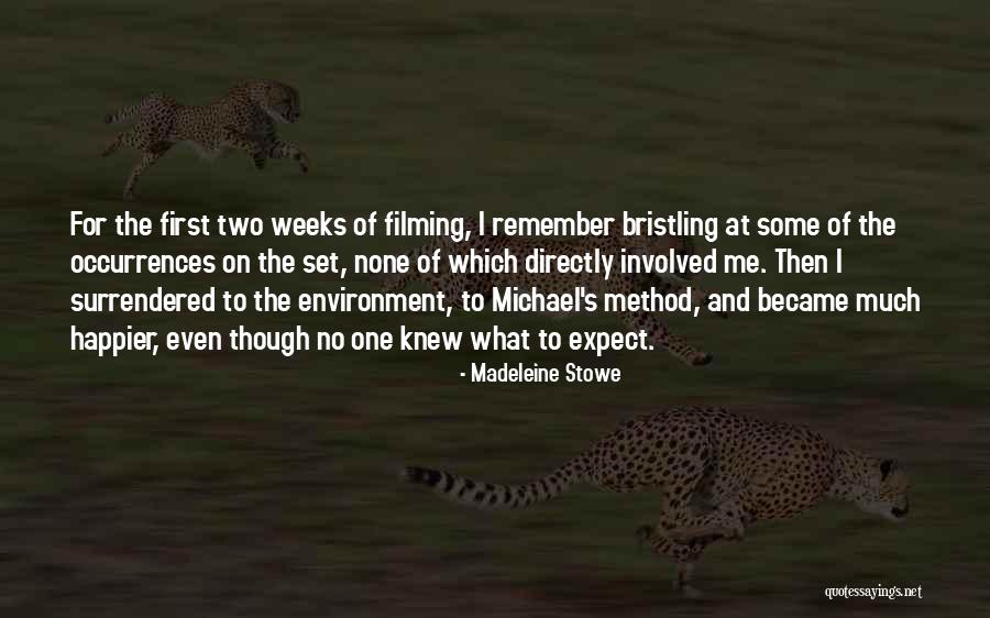 Linzer Products Quotes By Madeleine Stowe Linzer Products Quotes By Madeleine Stowe