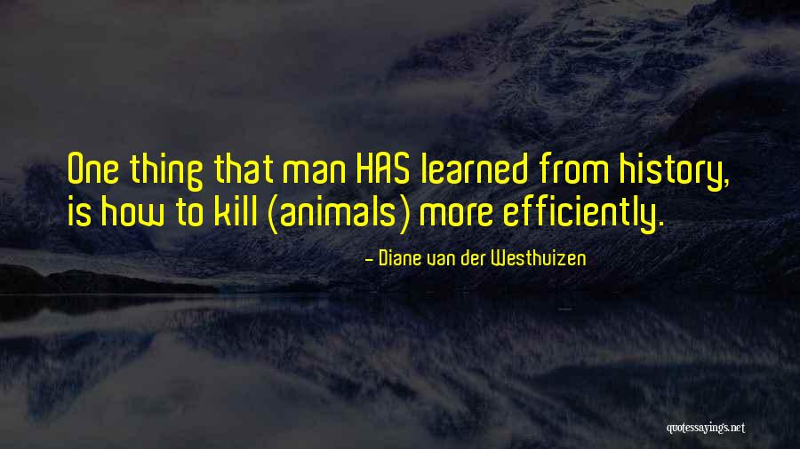 Lion And Elephant Quotes By Diane Van Der Westhuizen