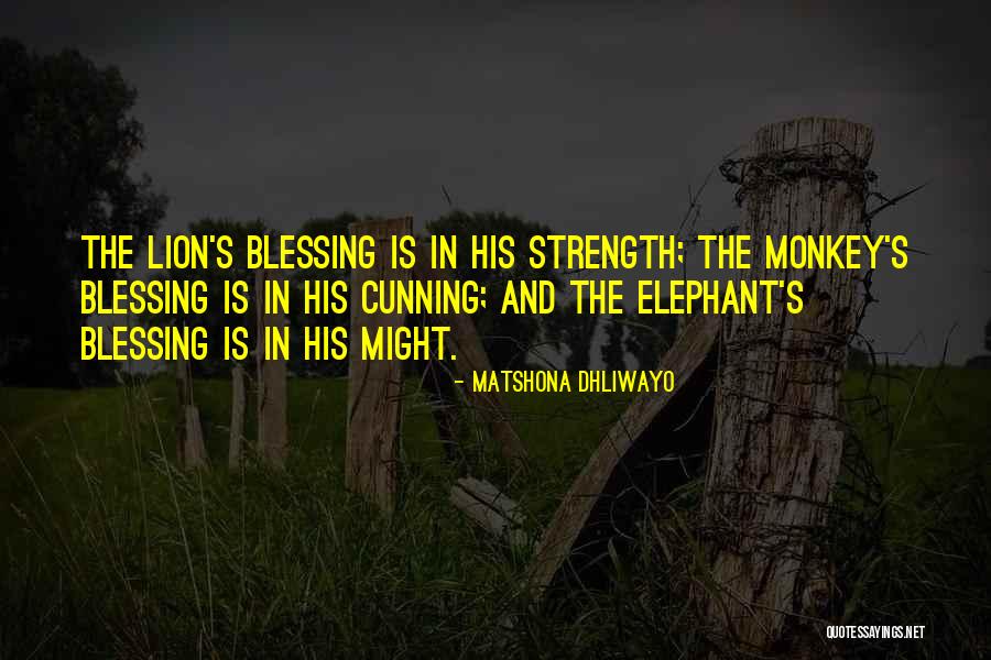 Lion And Elephant Quotes By Matshona Dhliwayo