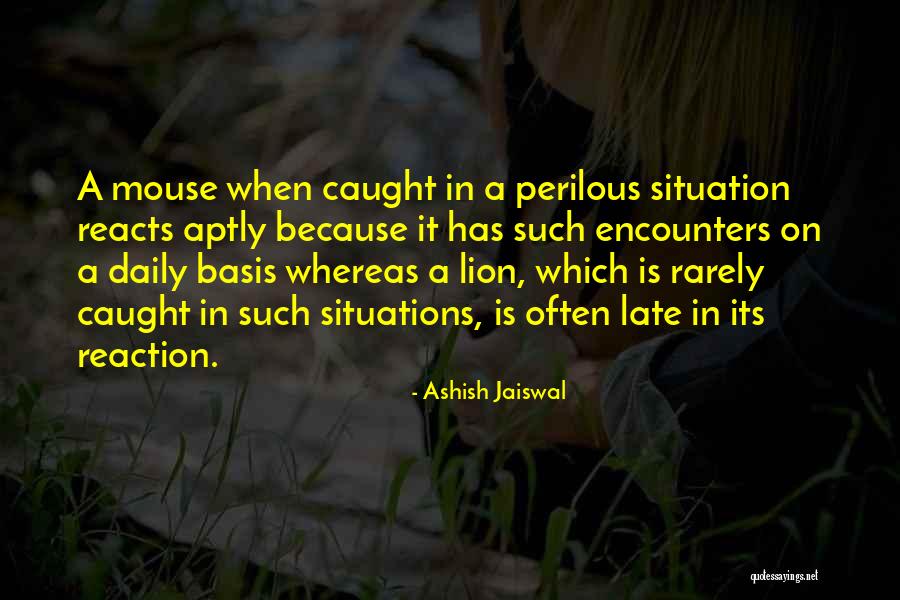 Lion And The Mouse Quotes By Ashish Jaiswal Lion And The Mouse Quotes By Ashish Jaiswal
