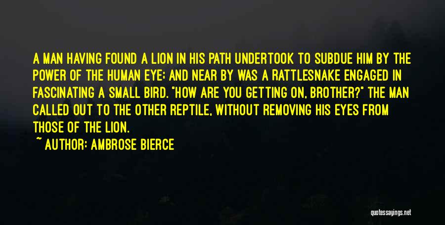 Lion Eyes Quotes By Ambrose Bierce