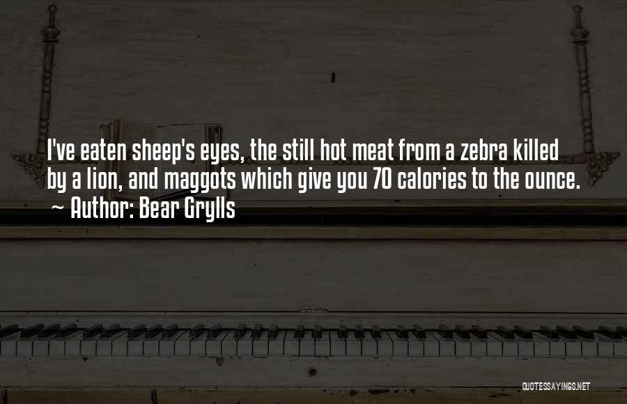 Lion Eyes Quotes By Bear Grylls