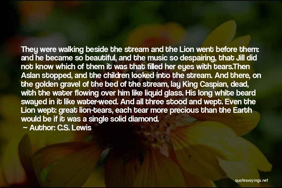 Lion Eyes Quotes By C.S. Lewis
