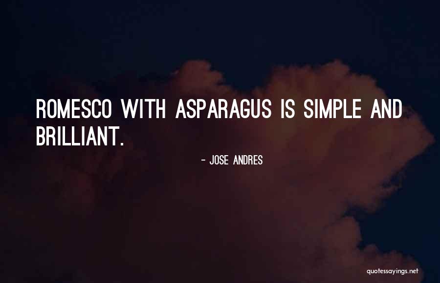Lion Lady Plastic Surgery Quotes By Jose Andres Lion Lady Plastic Surgery Quotes By Jose Andres