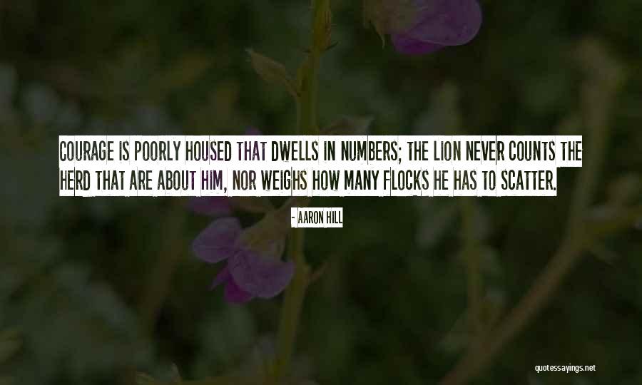Lion Never Quotes By Aaron Hill Lion Never Quotes By Aaron Hill